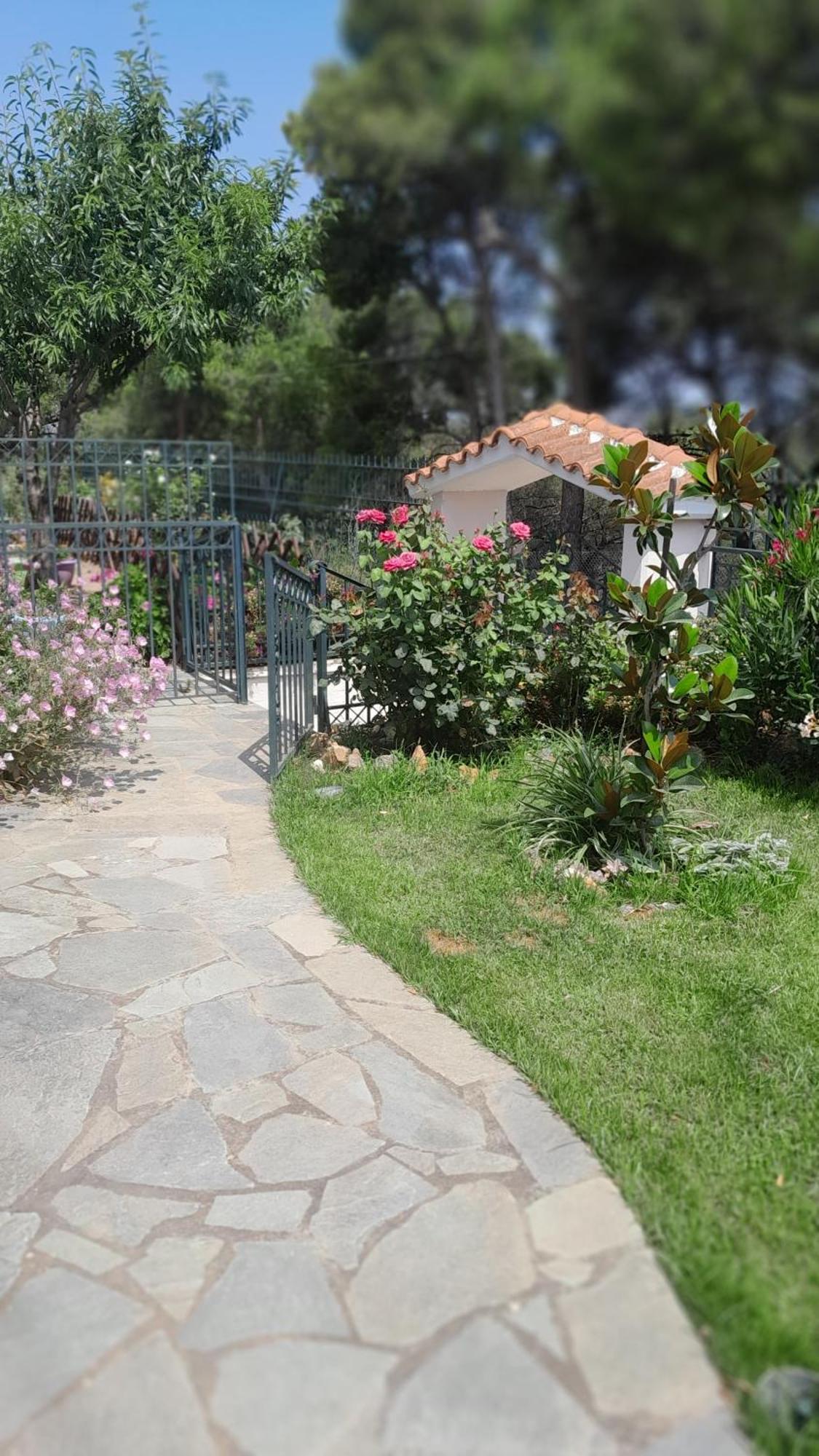 Paradise Dhaskalion Exterior foto